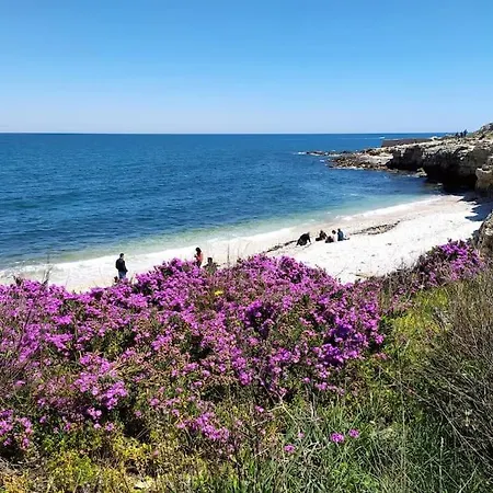 Διαμέρισμα Le Arcate Sul Mare *